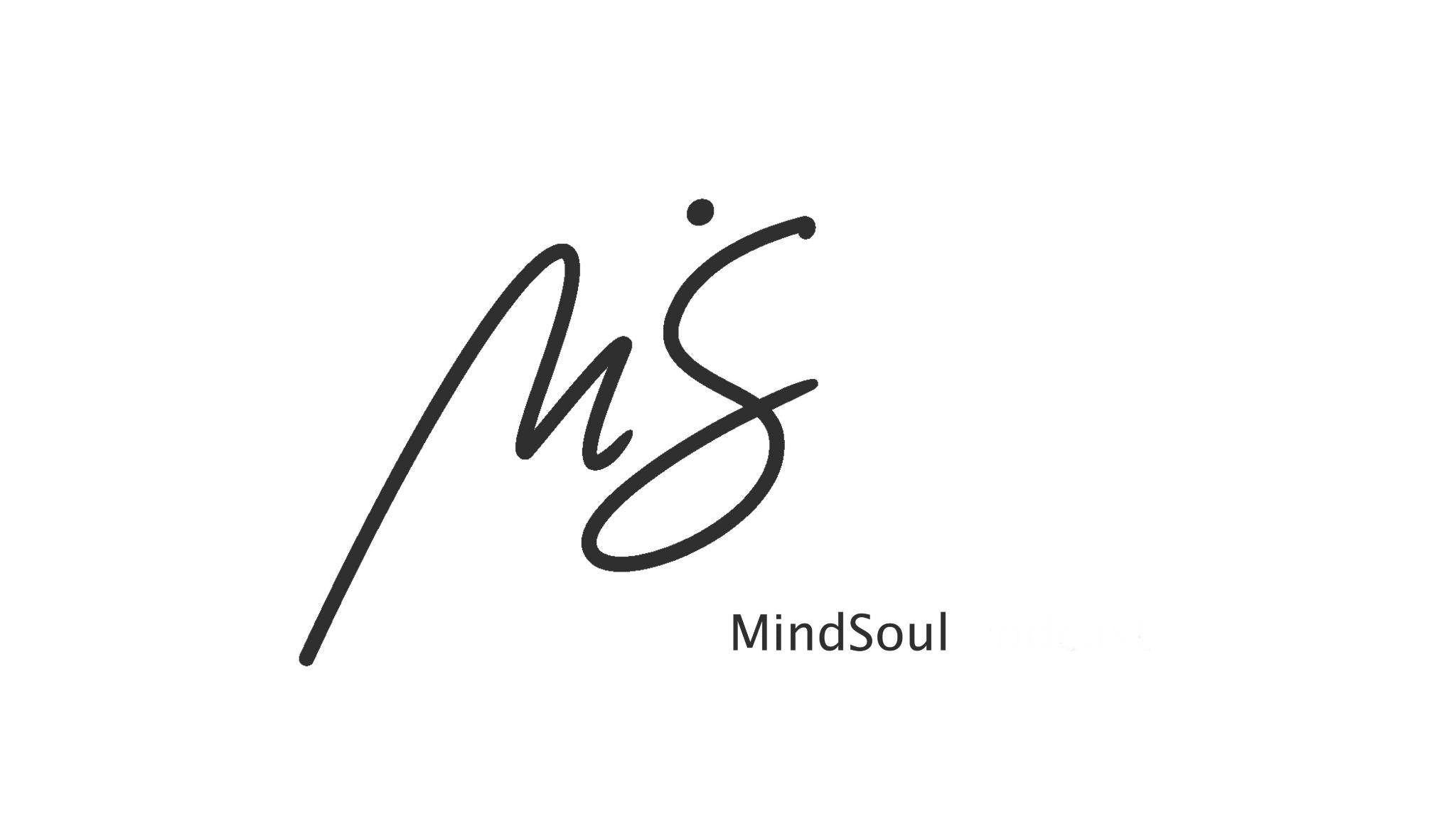 MindSoul 